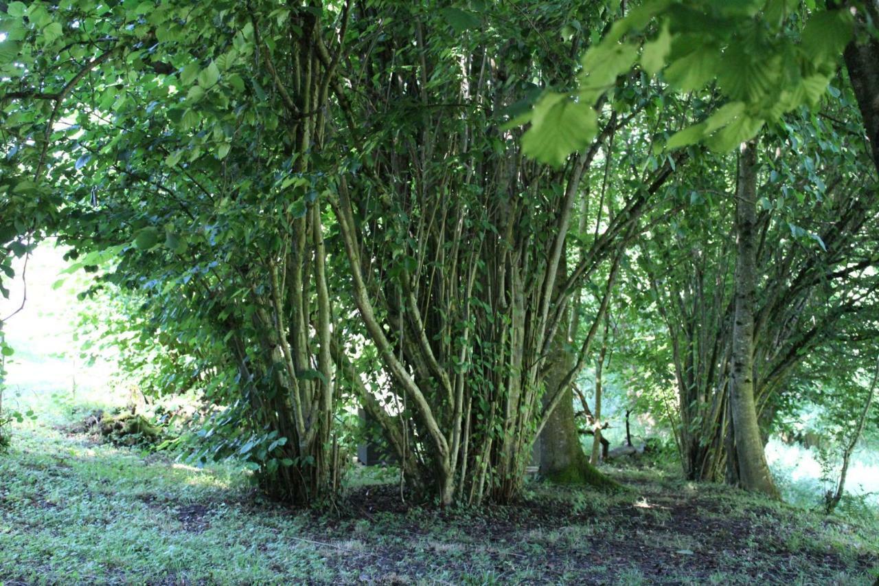 Du Cote De Lacoume Anla Exterior foto